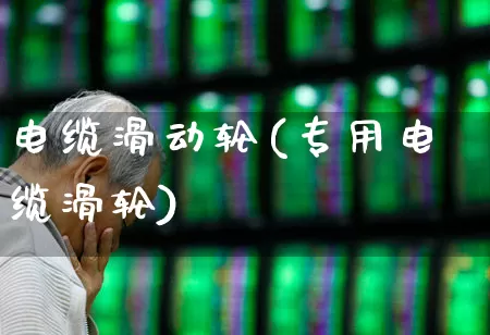 电缆滑动轮(专用电缆滑轮)_https://www.syklpowerbike.com_上交所_第1张