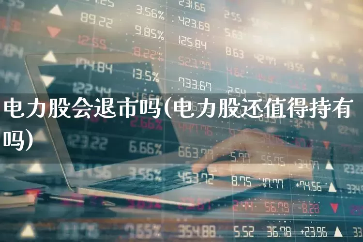 电力股会退市吗(电力股还值得持有吗)_https://www.syklpowerbike.com_上交所_第1张