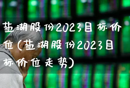 盐湖股份2023目标价位(盐湖股份2023目标价位走势)_https://www.syklpowerbike.com_科创板_第1张