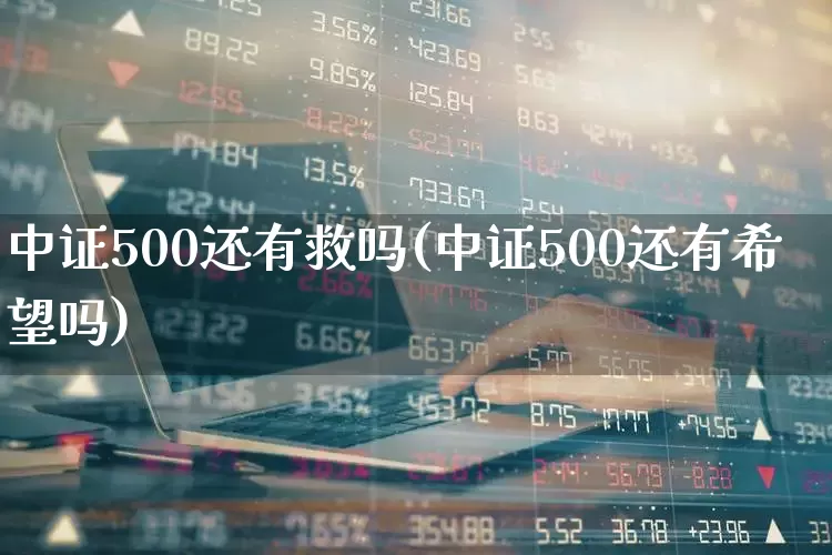 中证500还有救吗(中证500还有希望吗)_https://www.syklpowerbike.com_北交所_第1张