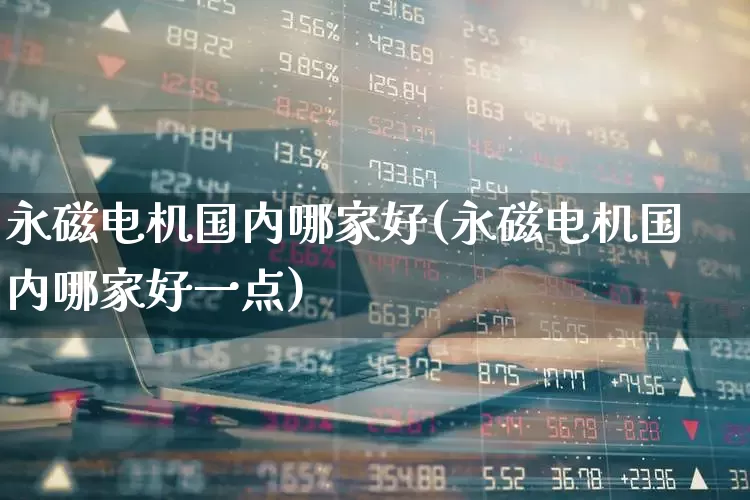 永磁电机国内哪家好(永磁电机国内哪家好一点)_https://www.syklpowerbike.com_深交所_第1张