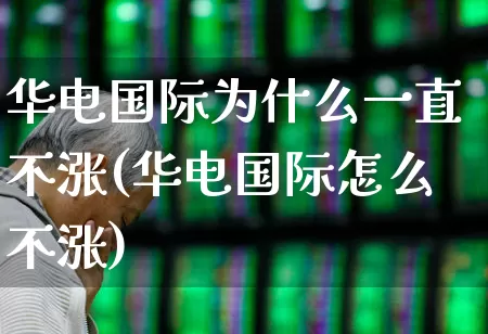 华电国际为什么一直不涨(华电国际怎么不涨)_https://www.syklpowerbike.com_北交所_第1张