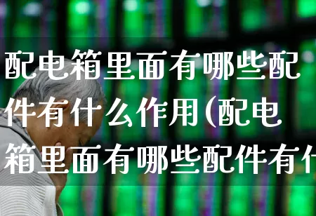 配电箱里面有哪些配件有什么作用(配电箱里面有哪些配件有什么作用的)_https://www.syklpowerbike.com_深交所_第1张