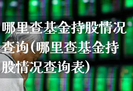 哪里查基金持股情况查询(哪里查基金持股情况查询表)_https://www.syklpowerbike.com_创业板_第1张