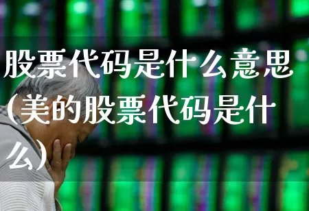 股票代码是什么意思(美的股票代码是什么)_https://www.syklpowerbike.com_上交所_第1张