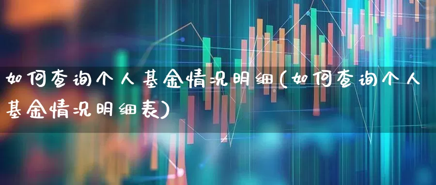如何查询个人基金情况明细(如何查询个人基金情况明细表)_https://www.syklpowerbike.com_上交所_第1张