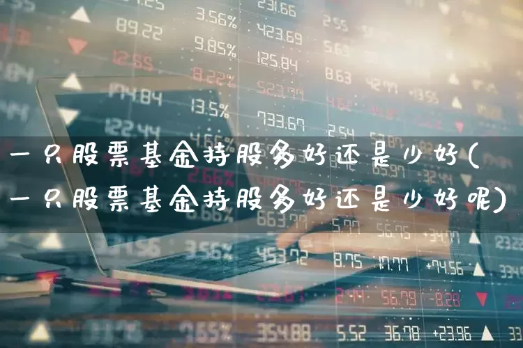 一只股票基金持股多好还是少好(一只股票基金持股多好还是少好呢)_https://www.syklpowerbike.com_北交所_第1张