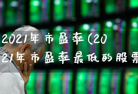 2021年市盈率(2021年市盈率最低的股票)_https://www.syklpowerbike.com_科创板_第1张