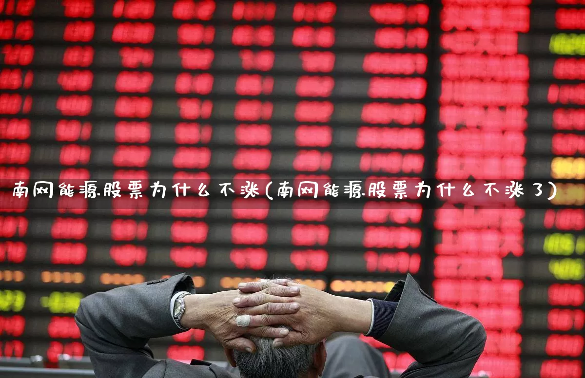 南网能源股票为什么不涨(南网能源股票为什么不涨了)_https://www.syklpowerbike.com_创业板_第1张