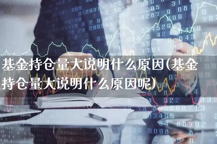 基金持仓量大说明什么原因(基金持仓量大说明什么原因呢)_https://www.syklpowerbike.com_北交所_第1张