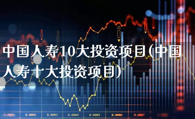 中国人寿10大投资项目(中国人寿十大投资项目)_https://www.syklpowerbike.com_科创板_第1张