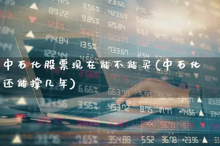 中石化股票现在能不能买(中石化还能撑几年)_https://www.syklpowerbike.com_创业板_第1张