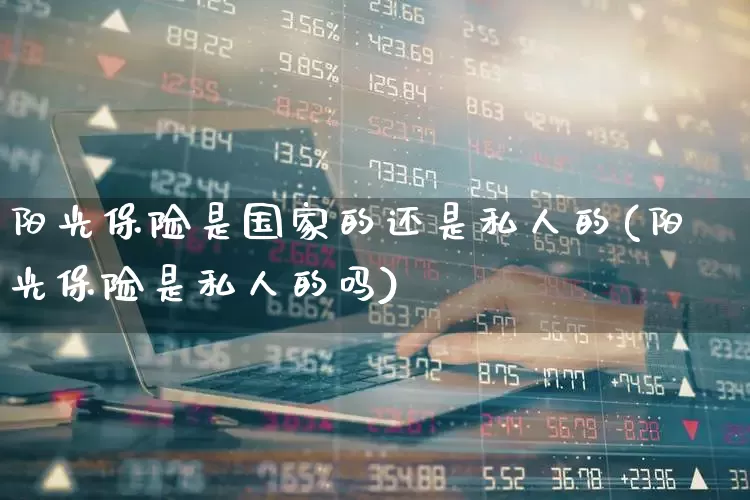 阳光保险是国家的还是私人的(阳光保险是私人的吗)_https://www.syklpowerbike.com_北交所_第1张