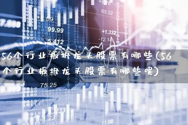 56个行业板块龙头股票有哪些(56个行业板块龙头股票有哪些呢)_https://www.syklpowerbike.com_上交所_第1张