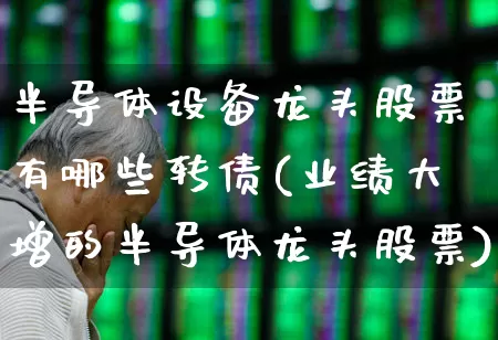 半导体设备龙头股票有哪些转债(业绩大增的半导体龙头股票)_https://www.syklpowerbike.com_深交所_第1张