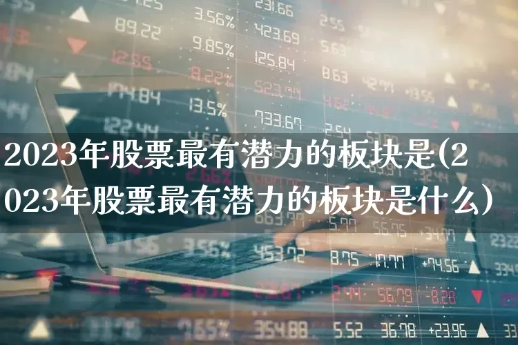 2023年股票最有潜力的板块是(2023年股票最有潜力的板块是什么)_https://www.syklpowerbike.com_深交所_第1张