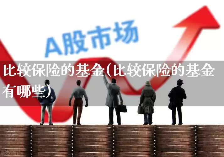 比较保险的基金(比较保险的基金有哪些)_https://www.syklpowerbike.com_上交所_第1张