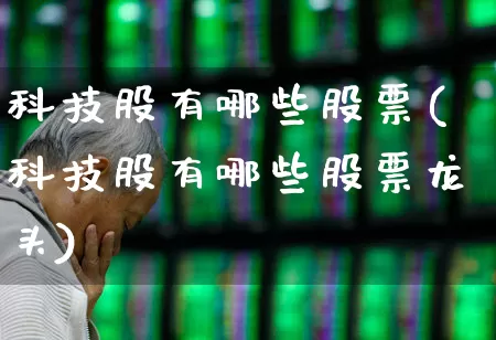 科技股有哪些股票(科技股有哪些股票龙头)_https://www.syklpowerbike.com_深交所_第1张