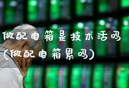 做配电箱是技术活吗(做配电箱累吗)_https://www.syklpowerbike.com_北交所_第1张