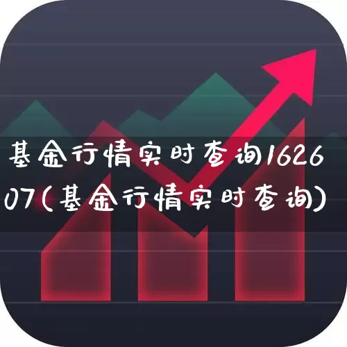 基金行情实时查询162607(基金行情实时查询)_https://www.syklpowerbike.com_科创板_第1张