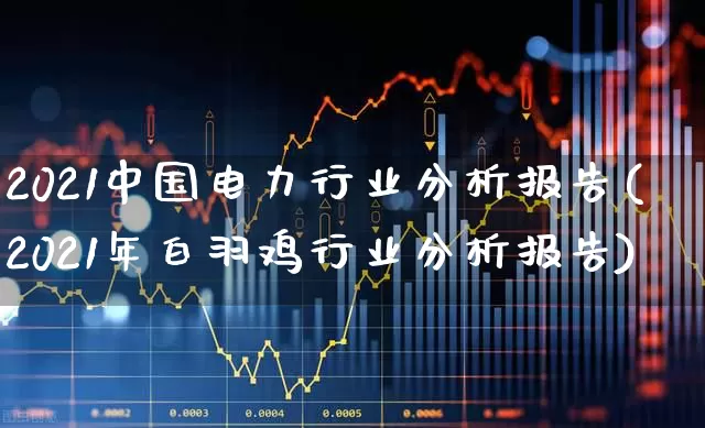 2021中国电力行业分析报告(2021年白羽鸡行业分析报告)_https://www.syklpowerbike.com_科创板_第1张