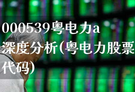000539粤电力a深度分析(粤电力股票代码)_https://www.syklpowerbike.com_上交所_第1张