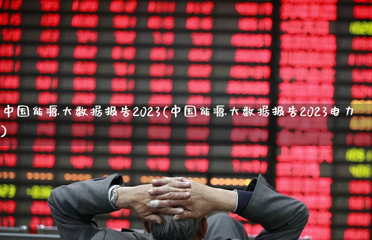 中国能源大数据报告2023(中国能源大数据报告2023电力)_https://www.syklpowerbike.com_北交所_第1张