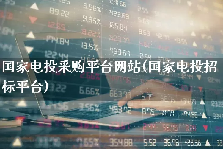 国家电投采购平台网站(国家电投招标平台)_https://www.syklpowerbike.com_科创板_第1张