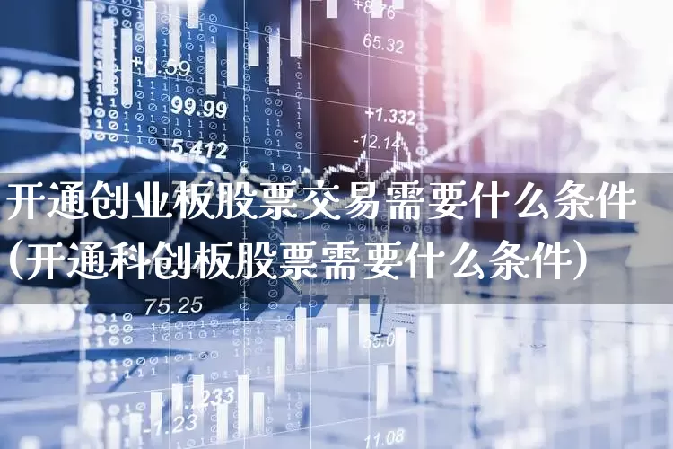 开通创业板股票交易需要什么条件(开通科创板股票需要什么条件)_https://www.syklpowerbike.com_深交所_第1张