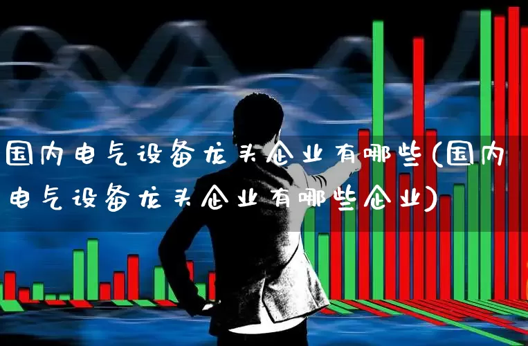 国内电气设备龙头企业有哪些(国内电气设备龙头企业有哪些企业)_https://www.syklpowerbike.com_深交所_第1张