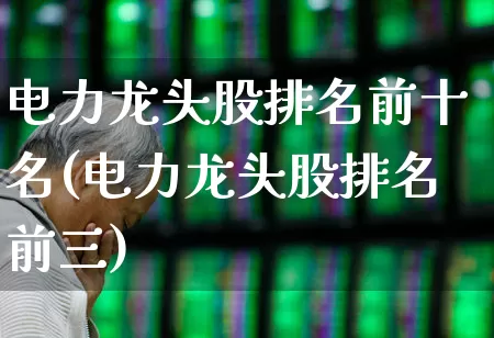 电力龙头股排名前十名(电力龙头股排名前三)_https://www.syklpowerbike.com_科创板_第1张