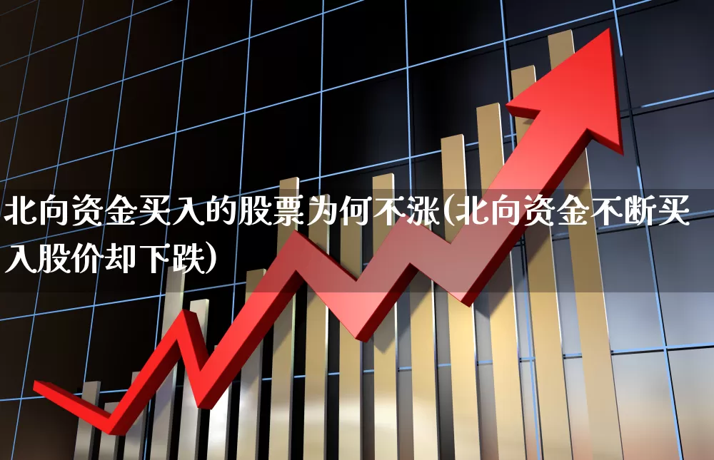 北向资金买入的股票为何不涨(北向资金不断买入股价却下跌)_https://www.syklpowerbike.com_北交所_第1张