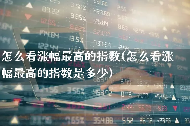 怎么看涨幅最高的指数(怎么看涨幅最高的指数是多少)_https://www.syklpowerbike.com_创业板_第1张