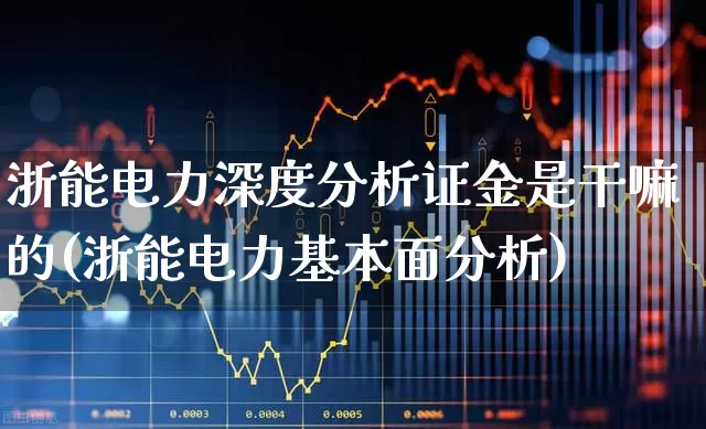 浙能电力深度分析证金是干嘛的(浙能电力基本面分析)_https://www.syklpowerbike.com_上交所_第1张