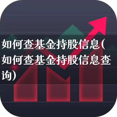 如何查基金持股信息(如何查基金持股信息查询)_https://www.syklpowerbike.com_深交所_第1张