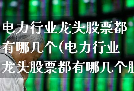 电力行业龙头股票都有哪几个(电力行业龙头股票都有哪几个股)_https://www.syklpowerbike.com_创业板_第1张
