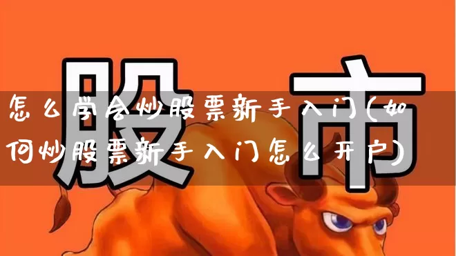 怎么学会炒股票新手入门(如何炒股票新手入门怎么开户)_https://www.syklpowerbike.com_创业板_第1张
