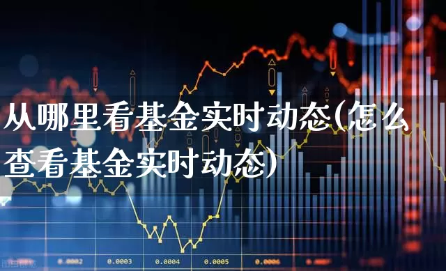 从哪里看基金实时动态(怎么查看基金实时动态)_https://www.syklpowerbike.com_上交所_第1张