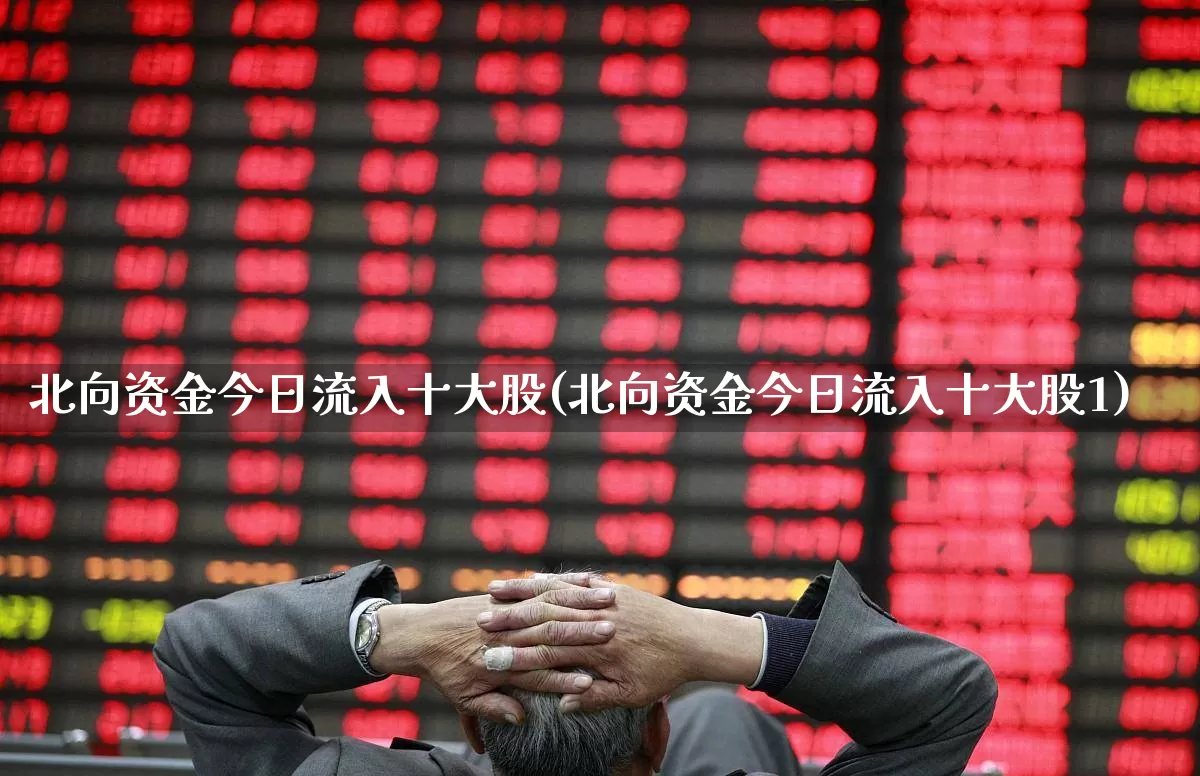 北向资金今日流入十大股(北向资金今日流入十大股1)_https://www.syklpowerbike.com_科创板_第1张