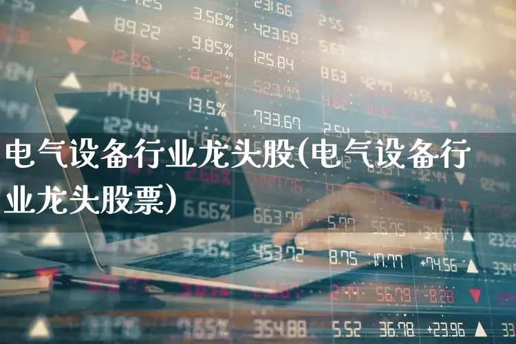 电气设备行业龙头股(电气设备行业龙头股票)_https://www.syklpowerbike.com_上交所_第1张