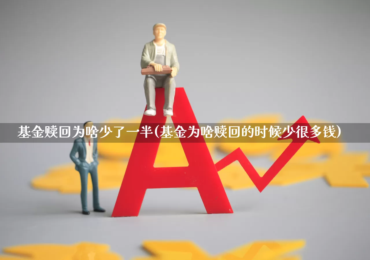 基金赎回为啥少了一半(基金为啥赎回的时候少很多钱)_https://www.syklpowerbike.com_北交所_第1张