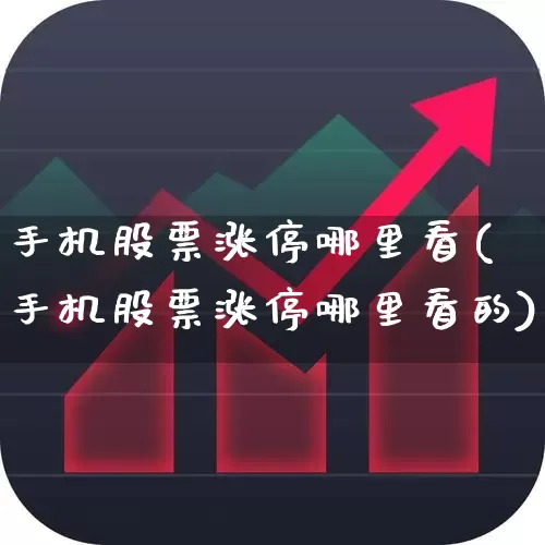 手机股票涨停哪里看(手机股票涨停哪里看的)_https://www.syklpowerbike.com_北交所_第1张