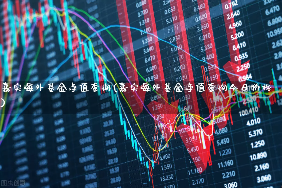 嘉实海外基金净值查询(嘉实海外基金净值查询今日价格)_https://www.syklpowerbike.com_科创板_第1张