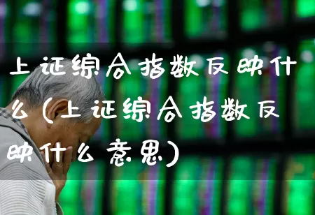 上证综合指数反映什么(上证综合指数反映什么意思)_https://www.syklpowerbike.com_深交所_第1张