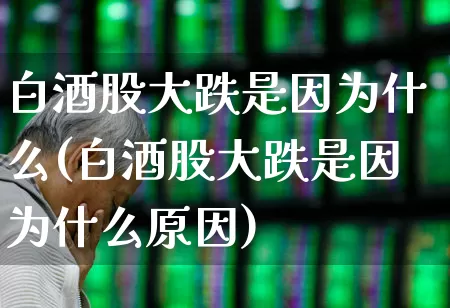 白酒股大跌是因为什么(白酒股大跌是因为什么原因)_https://www.syklpowerbike.com_科创板_第1张