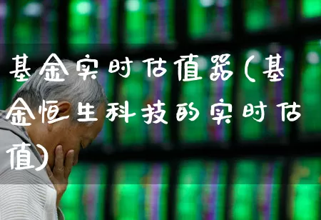 基金实时估值器(基金恒生科技的实时估值)_https://www.syklpowerbike.com_科创板_第1张