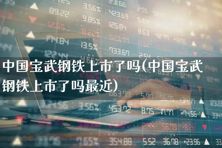 中国宝武钢铁上市了吗(中国宝武钢铁上市了吗最近)_https://www.syklpowerbike.com_创业板_第1张