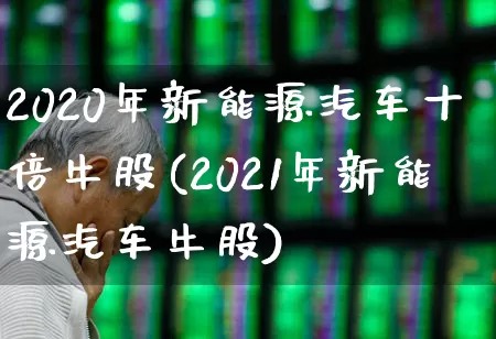 2020年新能源汽车十倍牛股(2021年新能源汽车牛股)_https://www.syklpowerbike.com_上交所_第1张