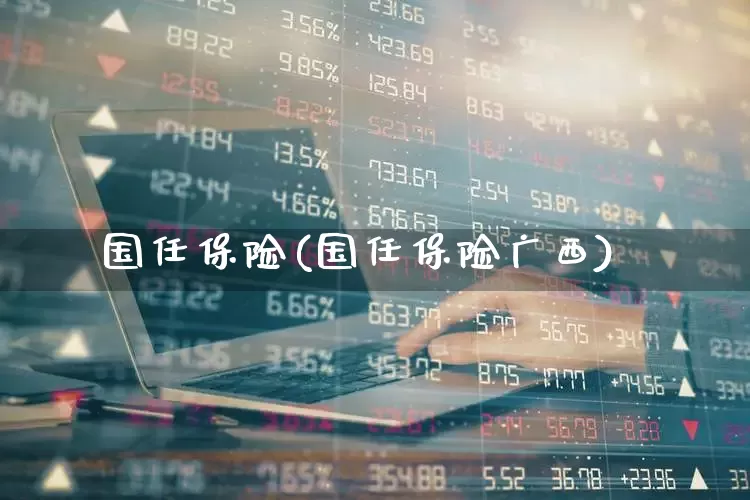 国任保险(国任保险广西)_https://www.syklpowerbike.com_科创板_第1张