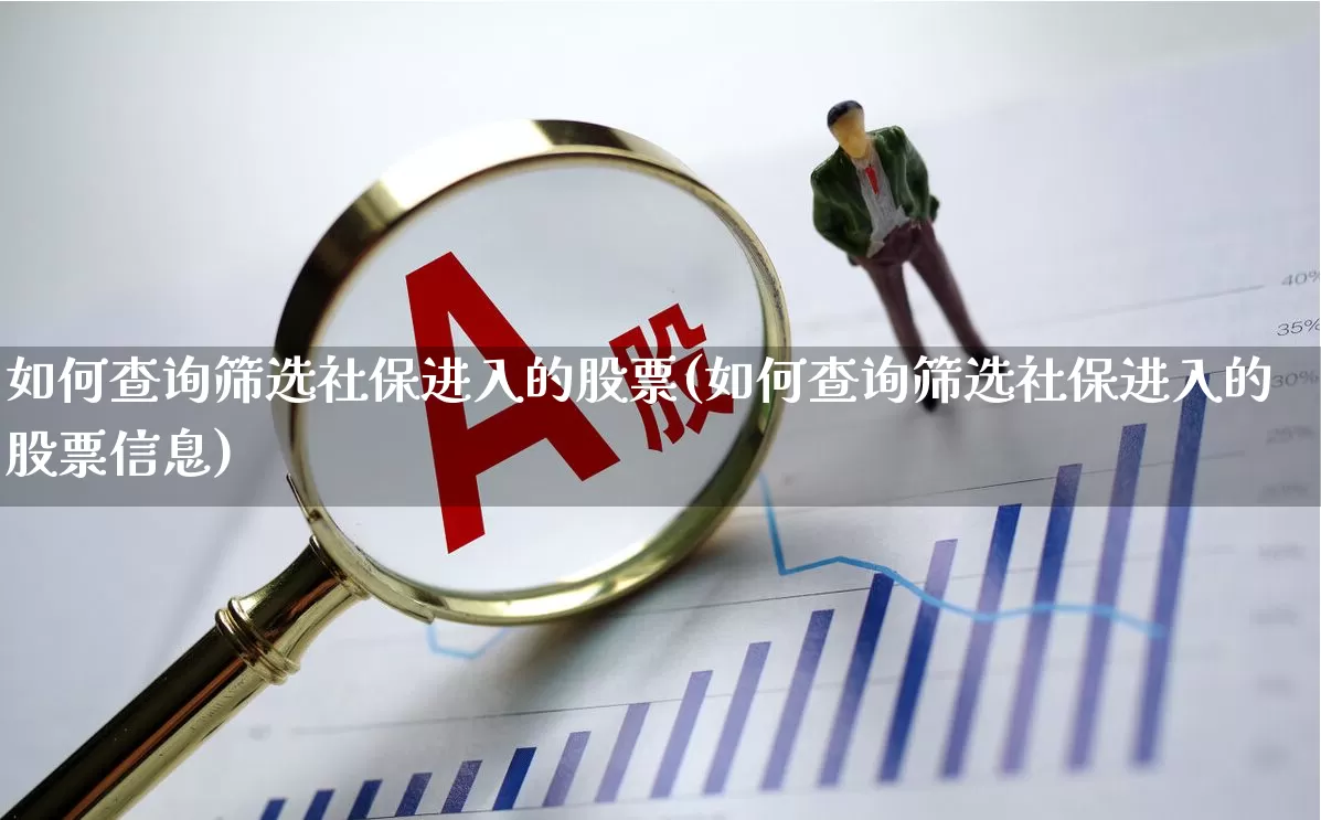 如何查询筛选社保进入的股票(如何查询筛选社保进入的股票信息)_https://www.syklpowerbike.com_科创板_第1张